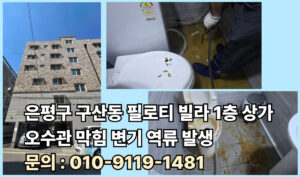 은평구 하수구 하수도 오수관 정화조 횡주관 집수정 배수구배수관 오수받임 ㅐㄴ홀
